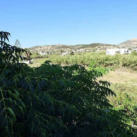 Go2ioannas-apartments Διαμέρισμα Φοίνικας